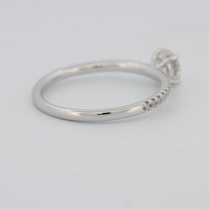 0.50 CT Round Solitaire Pavé Ring - ZIZOV DIAMONDS