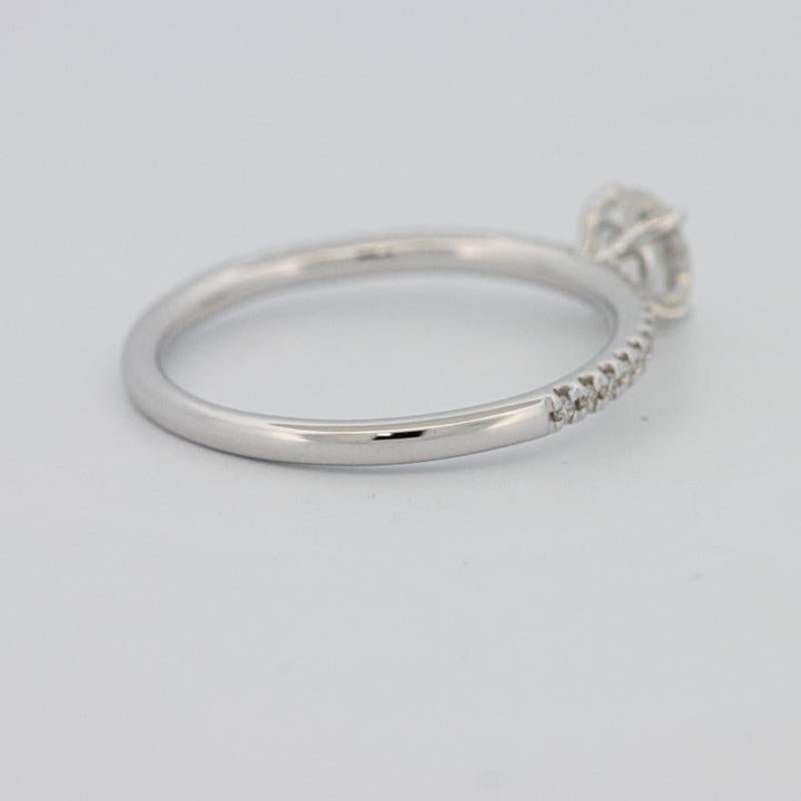 0.50 CT Round Solitaire Pavé Ring - ZIZOV DIAMONDS