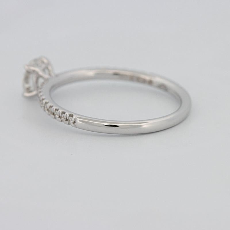 0.50 CT Round Solitaire Pavé Ring - ZIZOV DIAMONDS