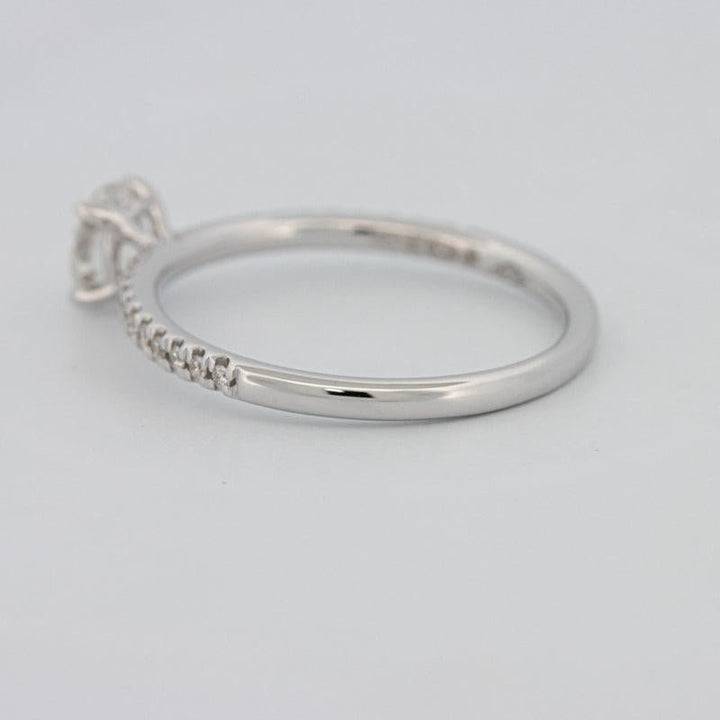 0.50 CT Round Solitaire Pavé Ring - ZIZOV DIAMONDS