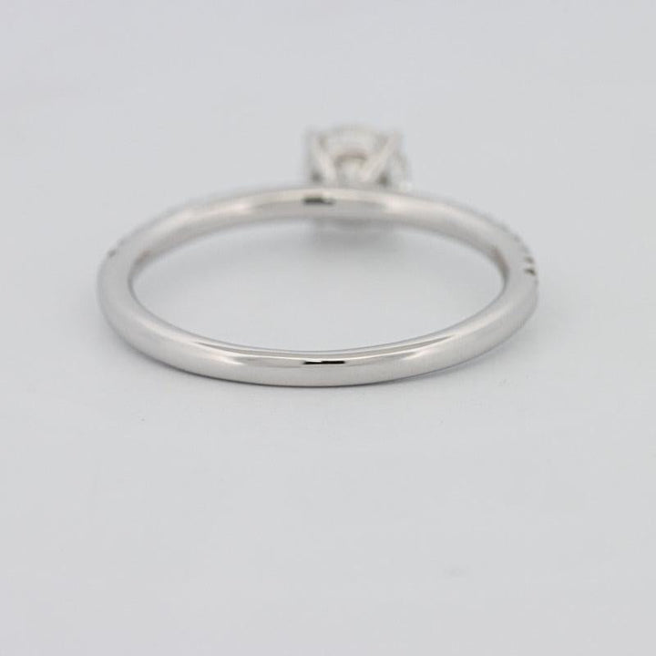 0.50 CT Round Solitaire Pavé Ring - ZIZOV DIAMONDS