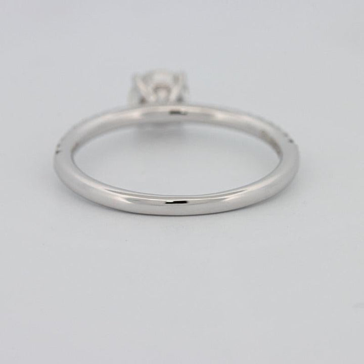 0.50 CT Round Solitaire Pavé Ring - ZIZOV DIAMONDS