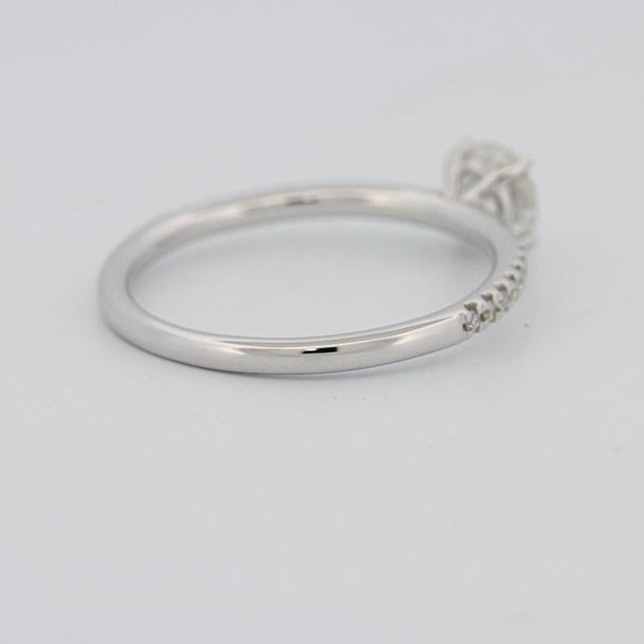 0.50 CT Round Solitaire Pavé Ring - ZIZOV DIAMONDS