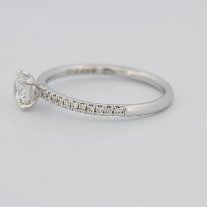 0.50 CT Round Solitaire Pavé Ring - ZIZOV DIAMONDS