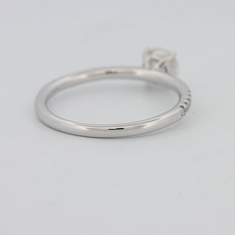 0.50 CT Round Solitaire Pavé Ring - ZIZOV DIAMONDS