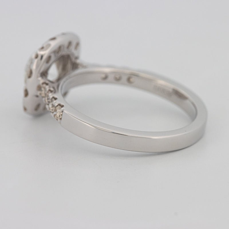 1 CT Round Cut Halo Pavé Solitaire (LG) - ZIZOV DIAMONDS