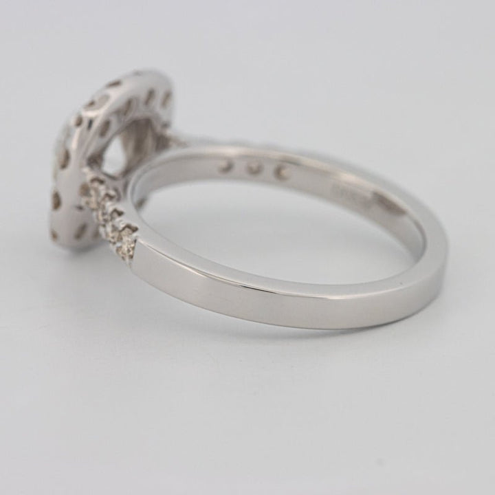 1 CT Round Cut Halo Pavé Solitaire (LG) - ZIZOV DIAMONDS