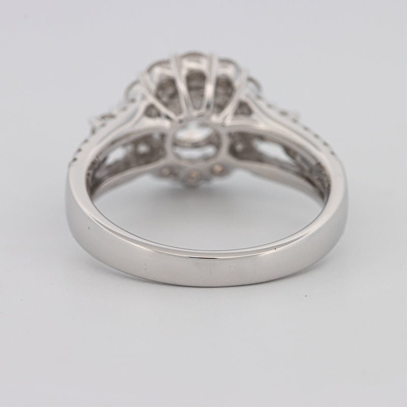 1 CT Round Cut Halo Pavé Solitaire (LG) - ZIZOV DIAMONDS