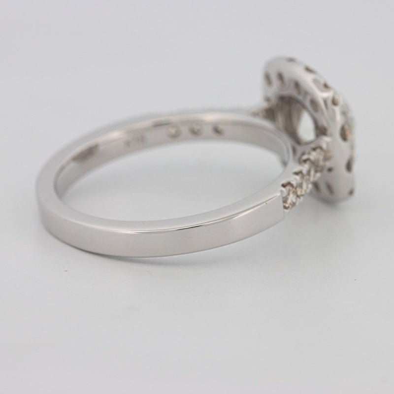 1 CT Round Cut Halo Pavé Solitaire (LG) - ZIZOV DIAMONDS