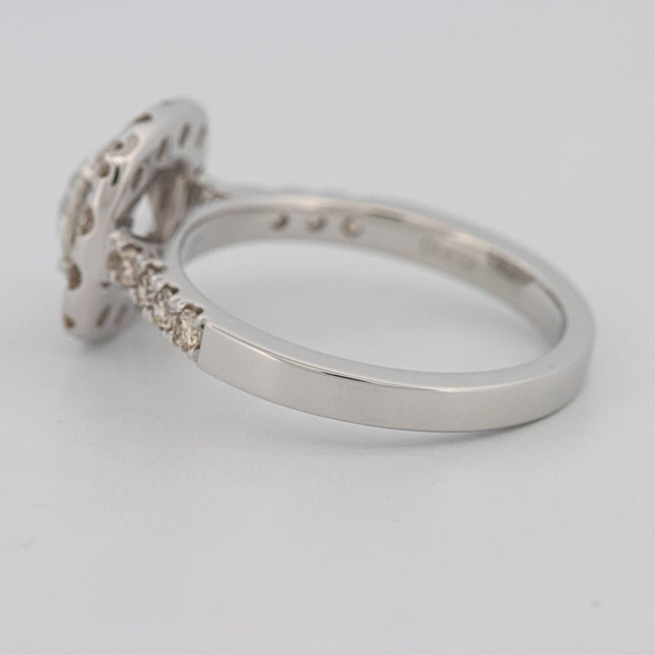 1 CT Round Cut Halo Pavé Solitaire (LG) - ZIZOV DIAMONDS