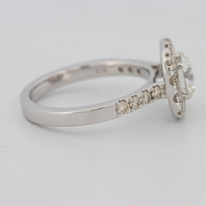 1 CT Round Cut Halo Pavé Solitaire (LG) - ZIZOV DIAMONDS