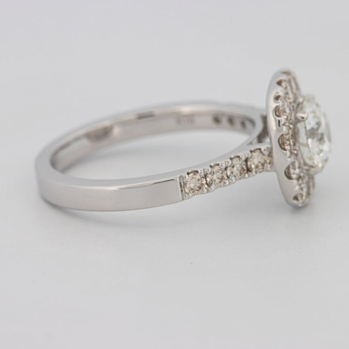 1 CT Round Cut Halo Pavé Solitaire (LG) - ZIZOV DIAMONDS