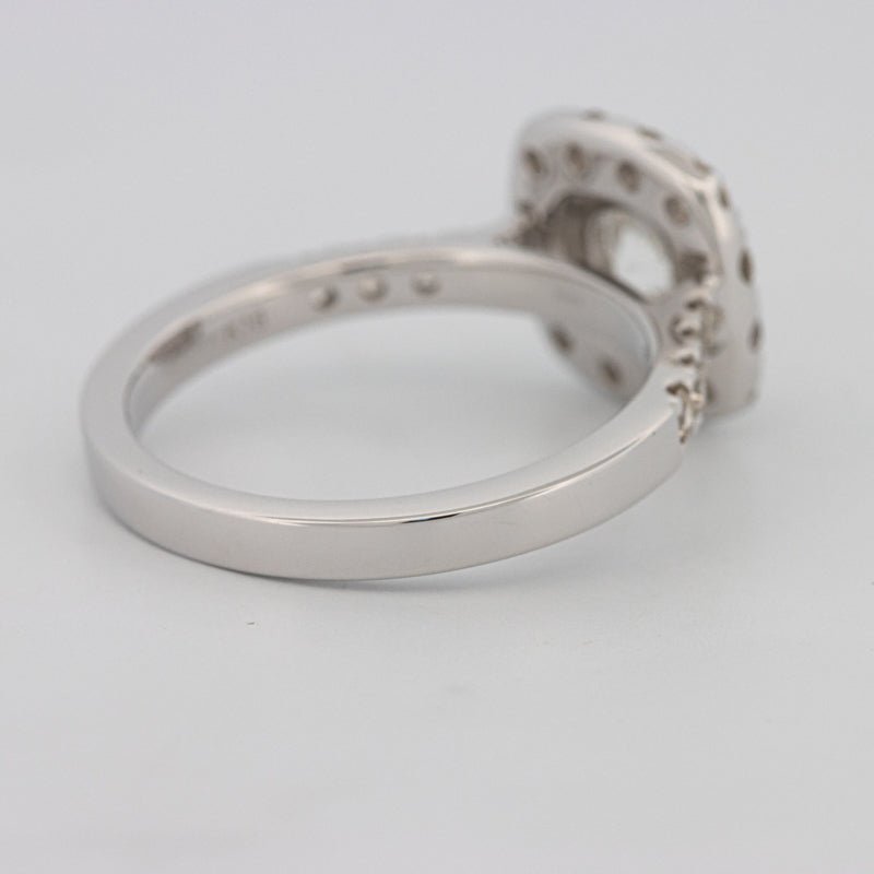 1 CT Round Cut Halo Pavé Solitaire (LG) - ZIZOV DIAMONDS