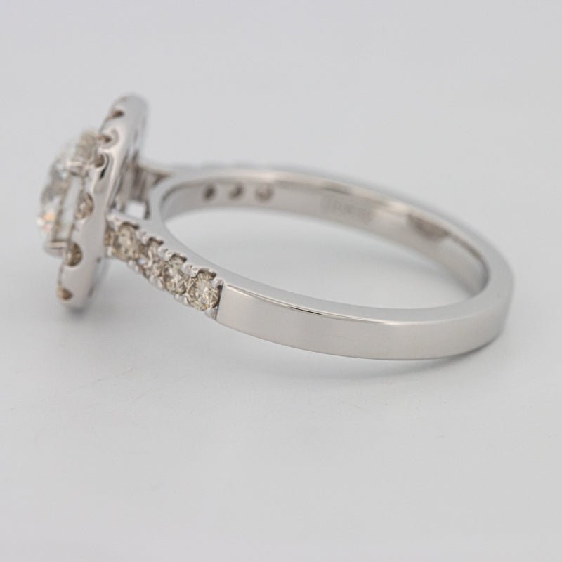 1 CT Round Cut Halo Pavé Solitaire (LG) - ZIZOV DIAMONDS