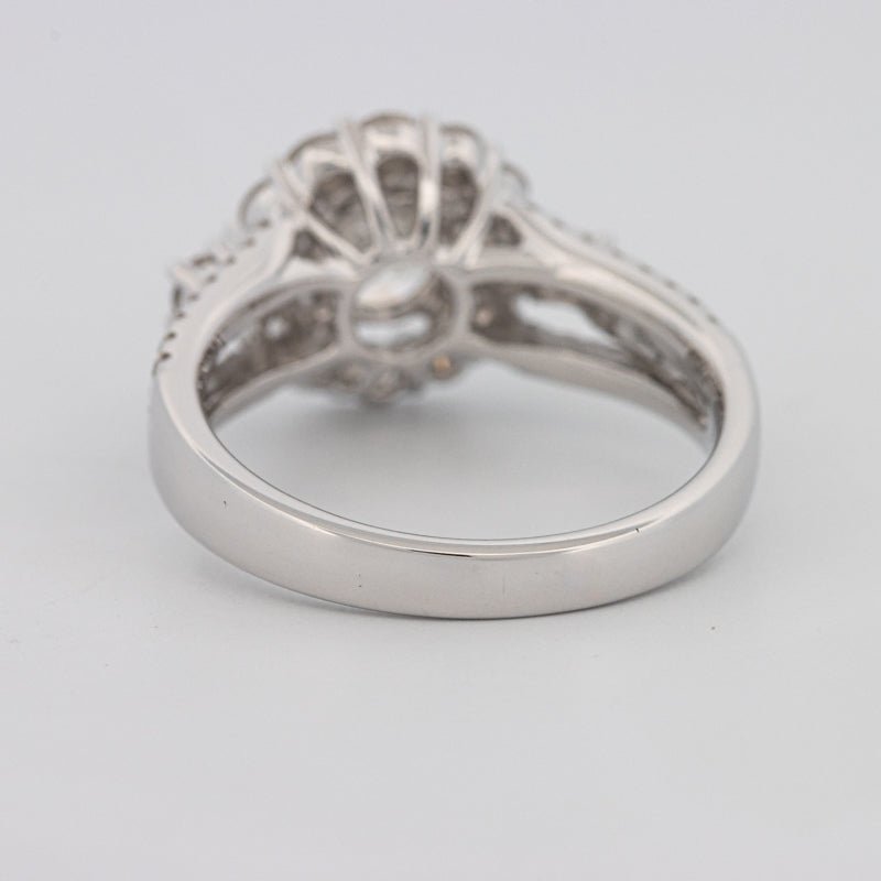 1 CT Round Cut Halo Pavé Solitaire (LG) - ZIZOV DIAMONDS