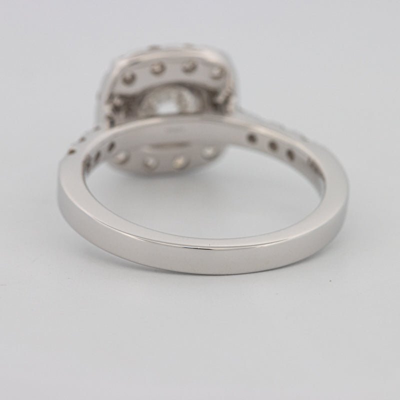 1 CT Round Cut Halo Pavé Solitaire (LG) - ZIZOV DIAMONDS