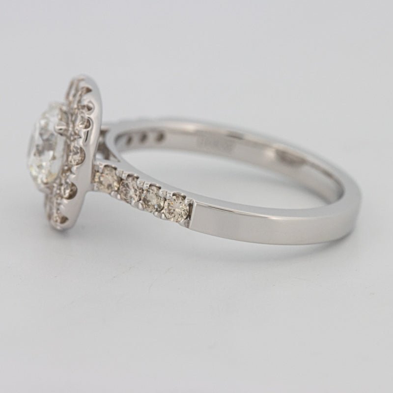1 CT Round Cut Halo Pavé Solitaire (LG) - ZIZOV DIAMONDS