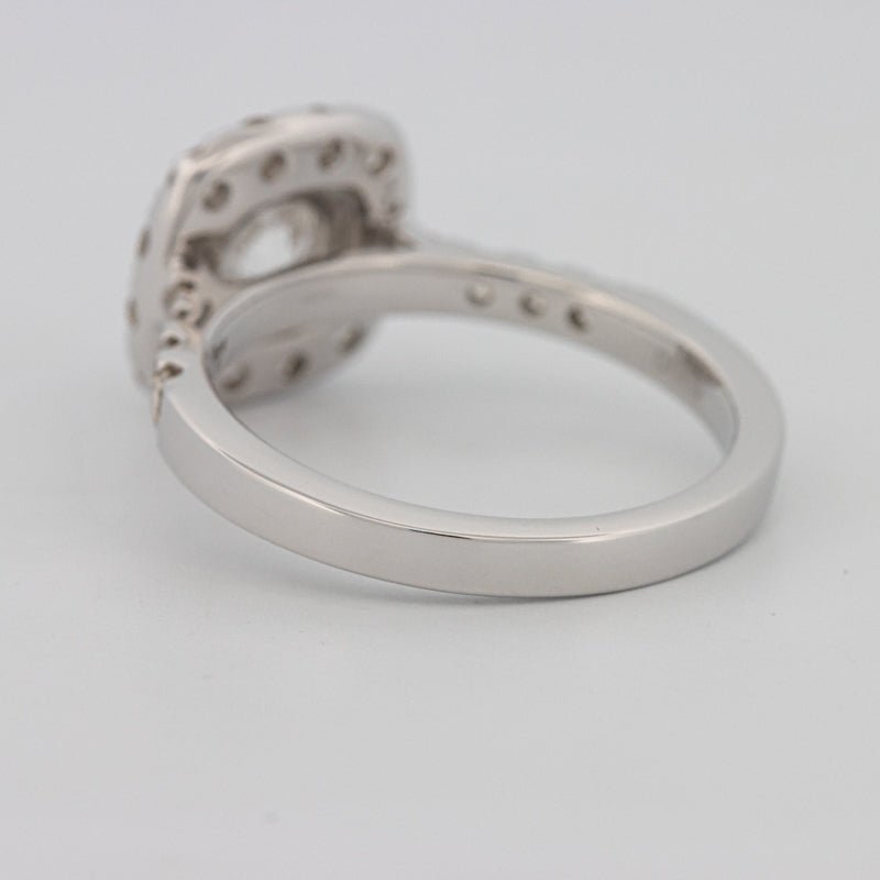 1 CT Round Cut Halo Pavé Solitaire (LG) - ZIZOV DIAMONDS