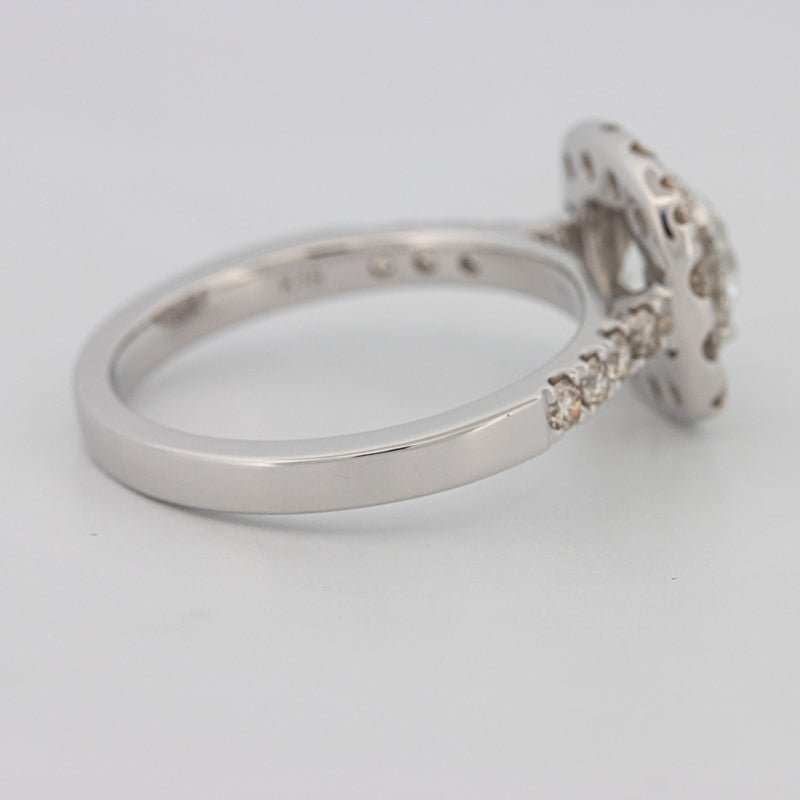 1 CT Round Cut Halo Pavé Solitaire (LG) - ZIZOV DIAMONDS