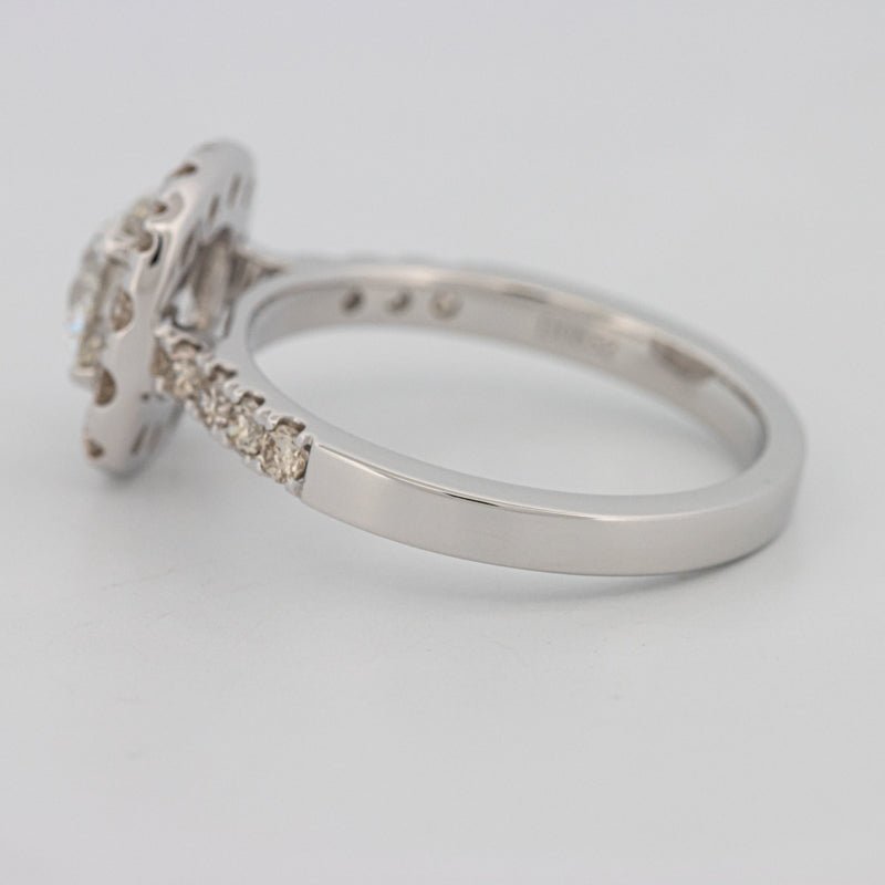 1 CT Round Cut Halo Pavé Solitaire (LG) - ZIZOV DIAMONDS