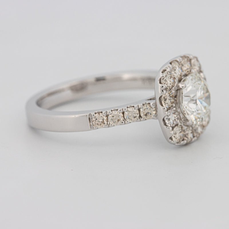 1 CT Round Cut Halo Pavé Solitaire (LG) - ZIZOV DIAMONDS
