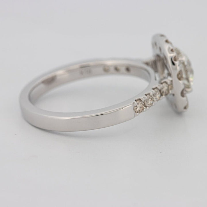 1 CT Round Cut Halo Pavé Solitaire (LG) - ZIZOV DIAMONDS