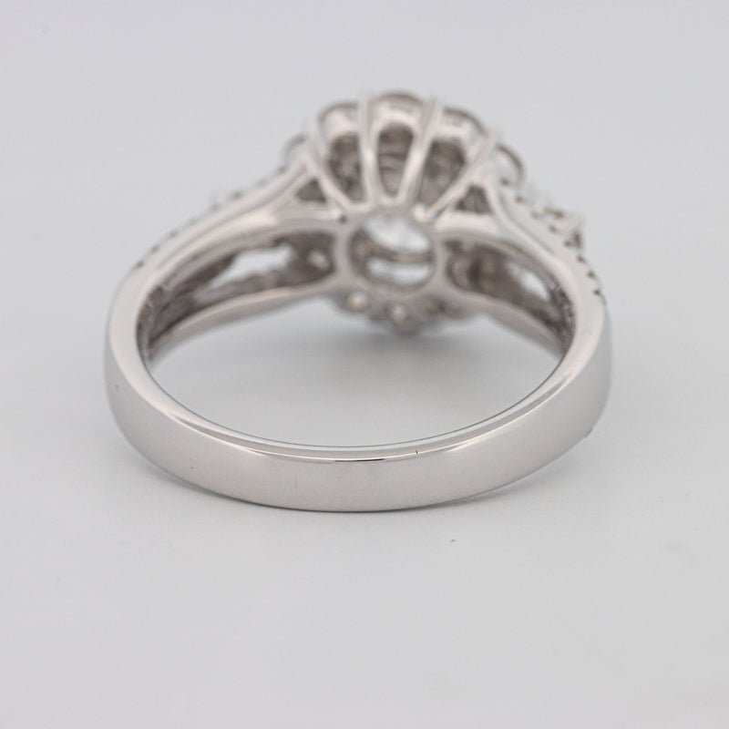 1 CT Round Cut Halo Pavé Solitaire (LG) - ZIZOV DIAMONDS