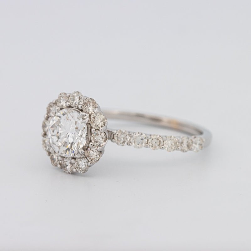 1 CT Round Halo Solitaire Ring - ZIZOV DIAMONDS