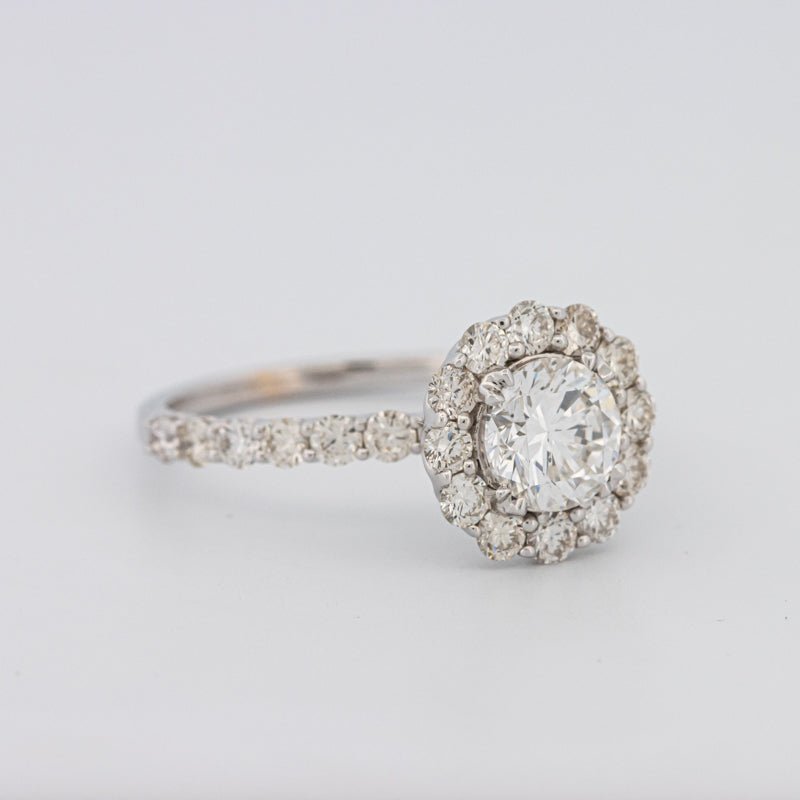 1 CT Round Halo Solitaire Ring - ZIZOV DIAMONDS