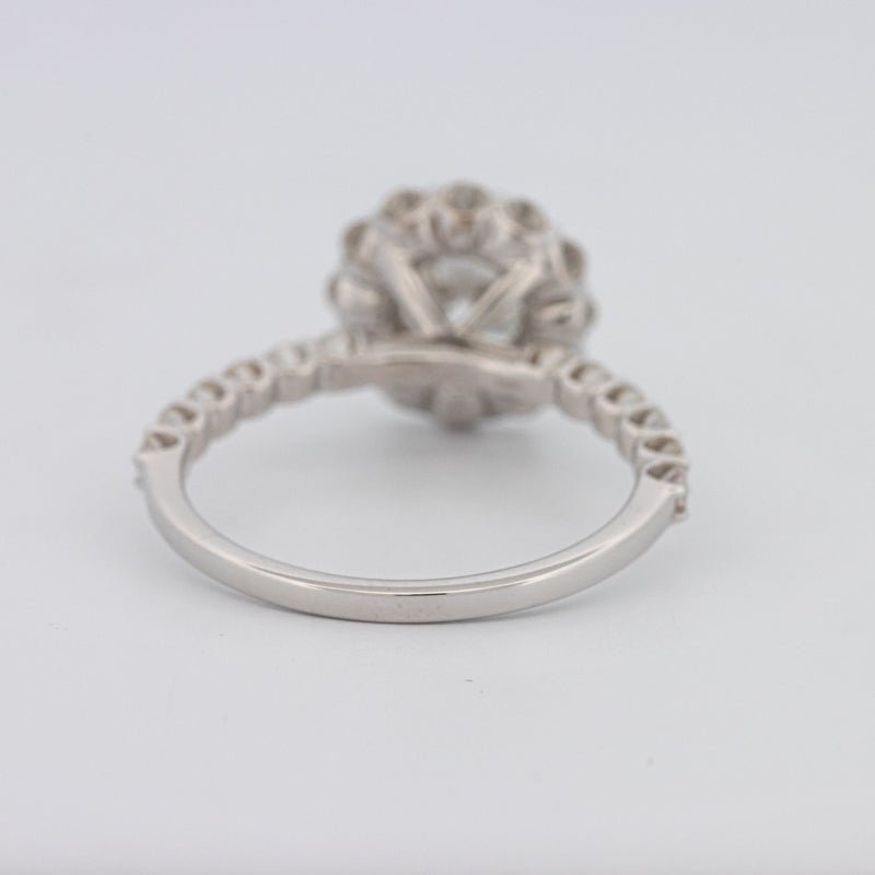 1 CT Round Halo Solitaire Ring - ZIZOV DIAMONDS