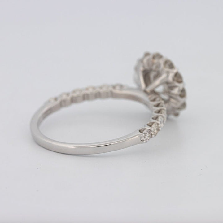 1 CT Round Halo Solitaire Ring - ZIZOV DIAMONDS