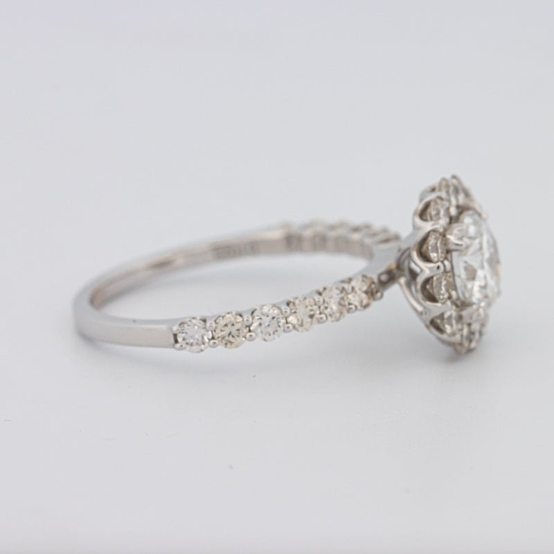 1 CT Round Halo Solitaire Ring - ZIZOV DIAMONDS