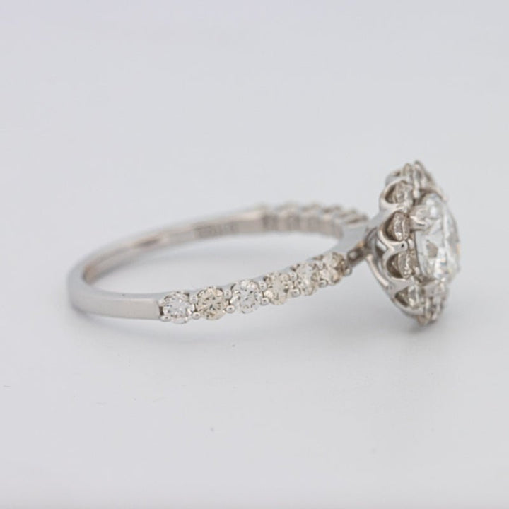 1 CT Round Halo Solitaire Ring - ZIZOV DIAMONDS