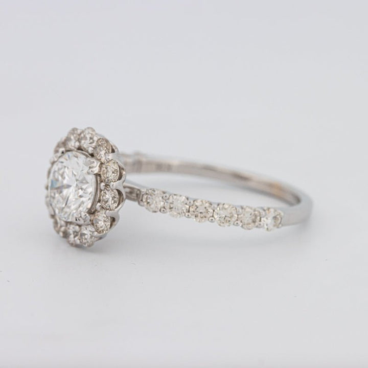 1 CT Round Halo Solitaire Ring - ZIZOV DIAMONDS