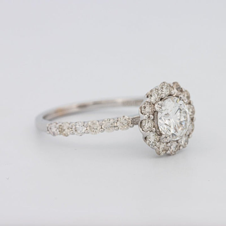 1 CT Round Halo Solitaire Ring - ZIZOV DIAMONDS