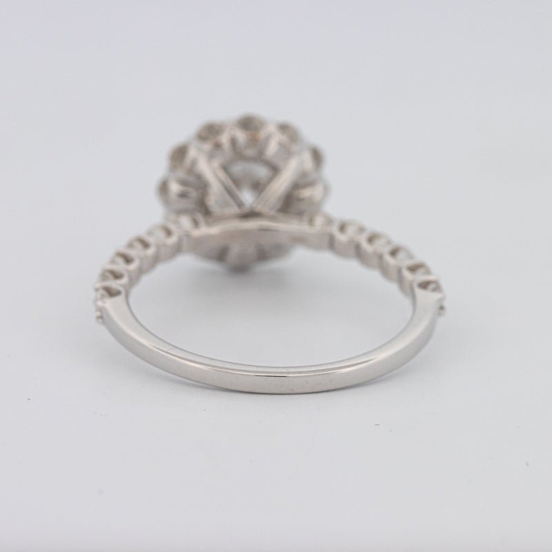 1 CT Round Halo Solitaire Ring - ZIZOV DIAMONDS