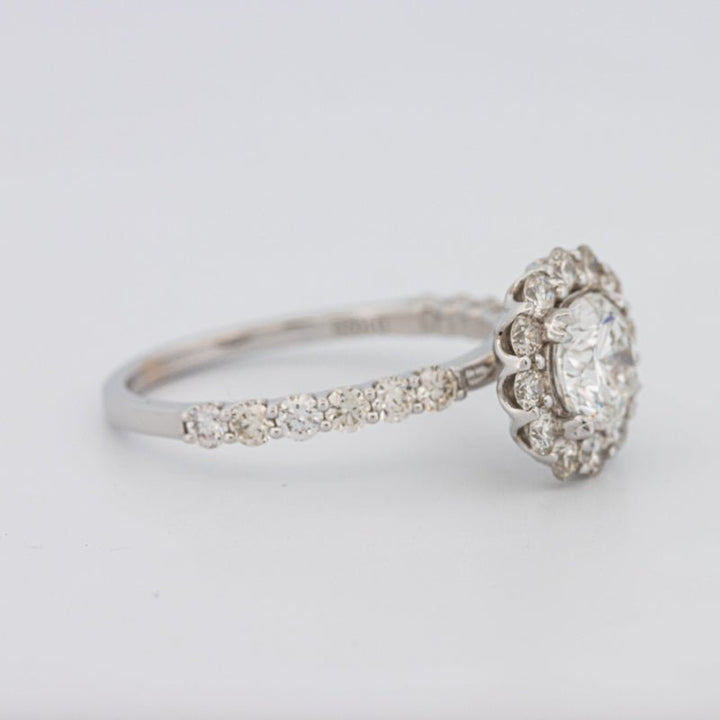 1 CT Round Halo Solitaire Ring - ZIZOV DIAMONDS