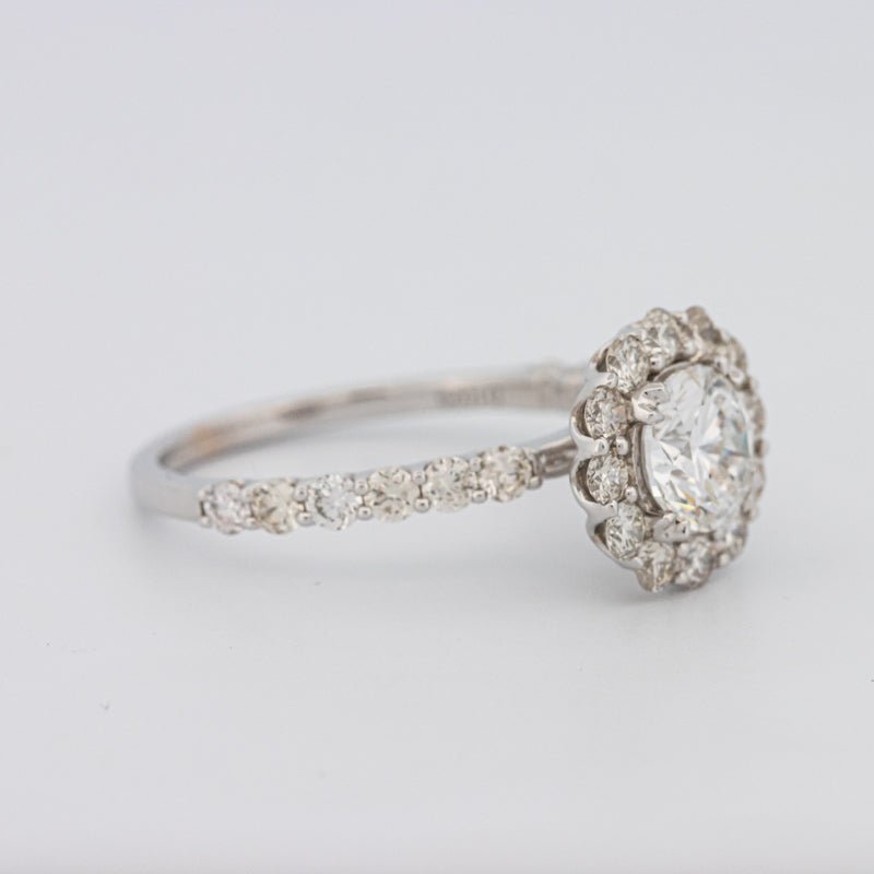 1 CT Round Halo Solitaire Ring - ZIZOV DIAMONDS
