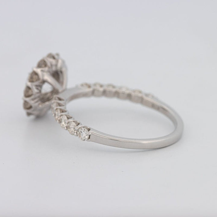 1 CT Round Halo Solitaire Ring - ZIZOV DIAMONDS