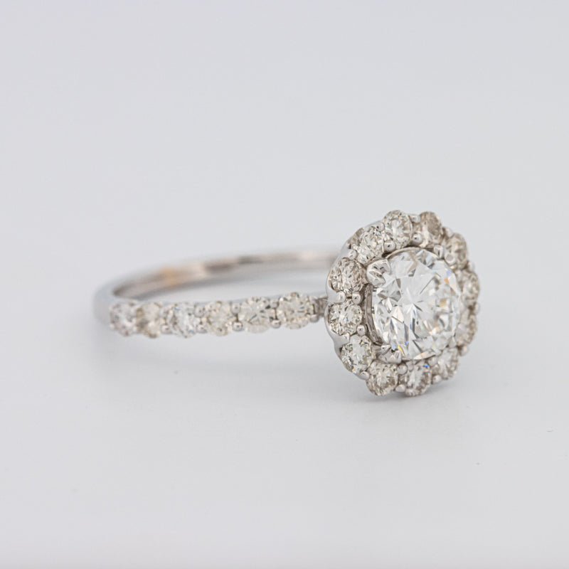 1 CT Round Halo Solitaire Ring - ZIZOV DIAMONDS