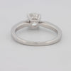 1 CT Round Pavé Solitaire (LG) - ZIZOV DIAMONDS