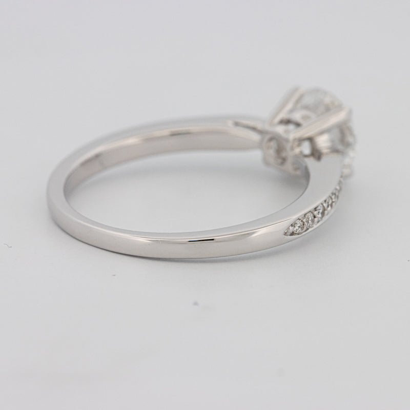1 CT Round Pavé Solitaire (LG) - ZIZOV DIAMONDS