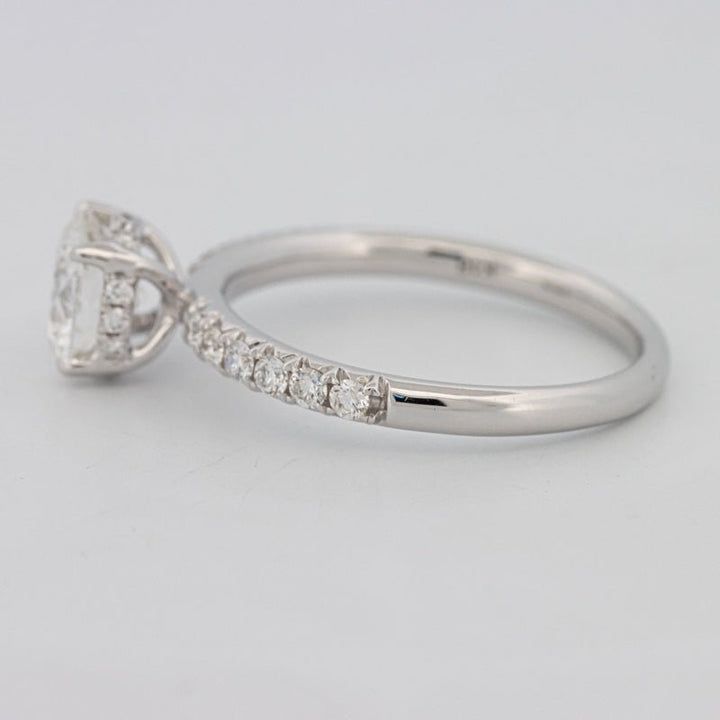 1 CT Under - Halo Brilliant Cut Pavé Solitaire (LG) - ZIZOV DIAMONDS