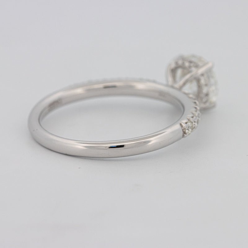 1 CT Under - Halo Brilliant Cut Pavé Solitaire (LG) - ZIZOV DIAMONDS