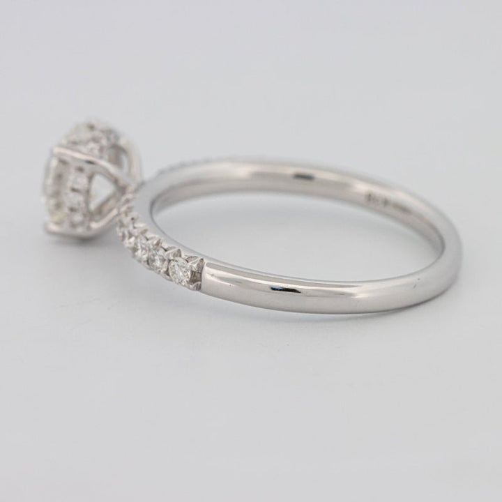 1 CT Under - Halo Brilliant Cut Pavé Solitaire (LG) - ZIZOV DIAMONDS