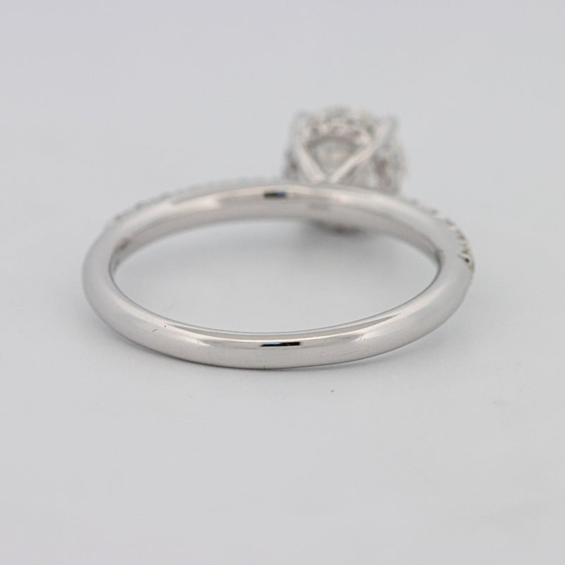 1 CT Under - Halo Brilliant Cut Pavé Solitaire (LG) - ZIZOV DIAMONDS