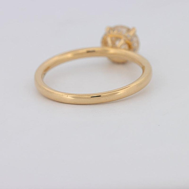 1 CT Under - Halo Round Solitaire - ZIZOV DIAMONDS