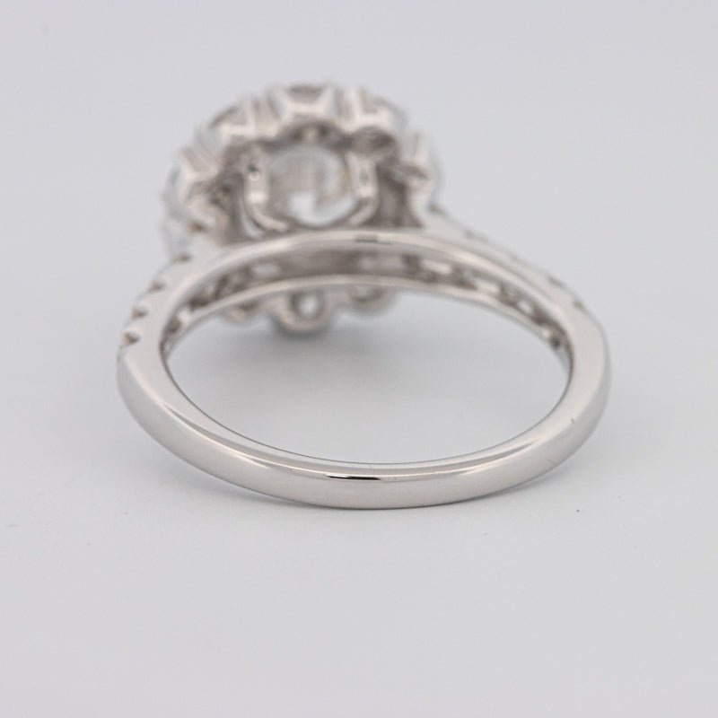 1.50 CT Round Cut Halo Pavé Solitaire (LG) - ZIZOV DIAMONDS