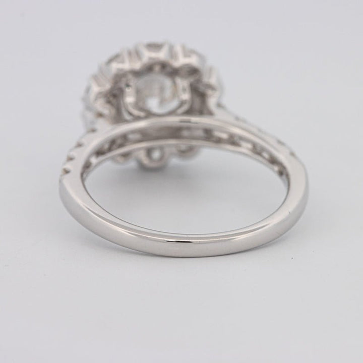 1.50 CT Round Cut Halo Pavé Solitaire (LG) - ZIZOV DIAMONDS