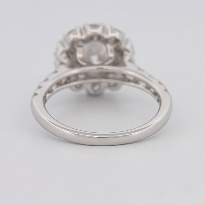 1.50 CT Round Cut Halo Pavé Solitaire (LG) - ZIZOV DIAMONDS